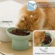 6.5인치 엑스트라 와이드 세라믹 고양이 그릇, 업그레이드된 확대 도자기 기울어진 고양이 먹이 물 그릇 접시, 스트레스 없는 애완동물 먹이 그릇 노인 큰 고양이와 작은 개를 위한 요리, 흰색 및 녹색