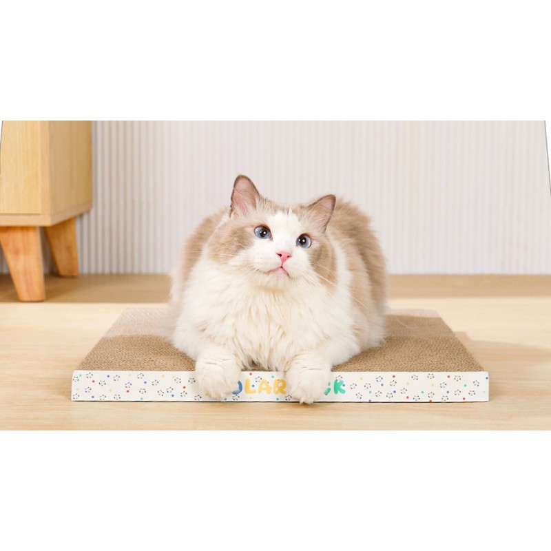 Cat Scratcher 고양이 스크래치 패드: 실내 고양이를 위한 가역적 내구성 재활용 가능 스크래치 골판지 리필 5개 - 캣닢 포함 | 고양이 액세서리
