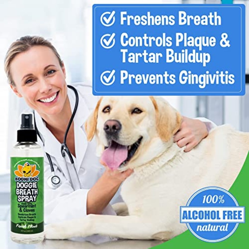 Bodhi Dog 개 치아와 건강한 잇몸을 위한 대형 천연 개 호흡 청정제 | 치석 청소, 플라크 제거제 및 신선한 치과 구강 관리에 가장 적합