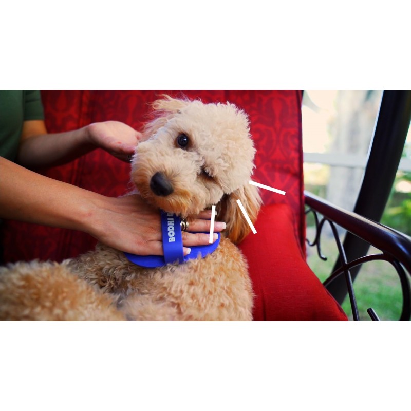 Bodhi Dog 개 치아와 건강한 잇몸을 위한 대형 천연 개 호흡 청정제 | 치석 청소, 플라크 제거제 및 신선한 치과 구강 관리에 가장 적합