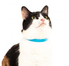 Nuvuq 편안하고 부드럽고 가벼운 고양이 목걸이(블루베리 블루)