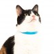 Nuvuq 편안하고 부드럽고 가벼운 고양이 목걸이(블루베리 블루)