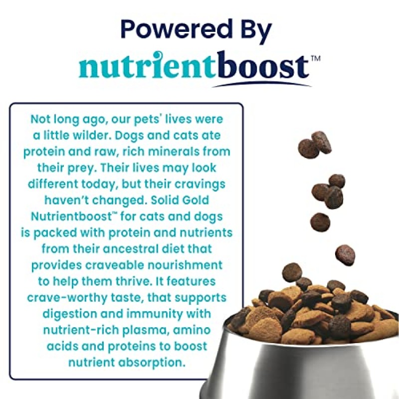 순금 NutrientBoost Katz N Flocken - 양고기, 쌀, 진주 보리를 함유한 건식 고양이 사료 - 고양이를 위한 소화 프로바이오틱스 - 장 건강 및 면역 지원 - 곡물 없음 - 슈퍼푸드 및 항산화제 지원