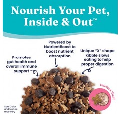 순금 NutrientBoost Katz N Flocken - 양고기, 쌀, 진주 보리를 함유한 건식 고양이 사료 - 고양이를 위한 소화 프로바이오틱스 - 장 건강 및 면역 지원 - 곡물 없음 - 슈퍼푸드 및 항산화제 지원