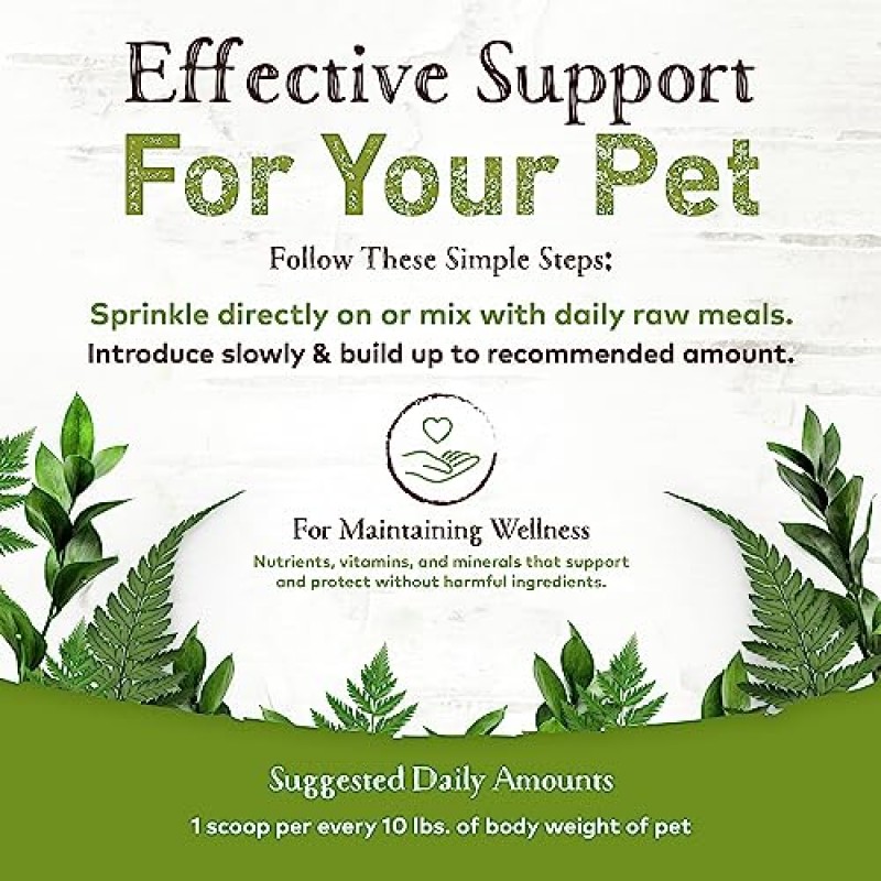 Earth Animal Daily 생식 고양이 사료 및 생식 생식 토퍼 - 완전한 고양이 및 강아지 비타민 보충제, 1파운드