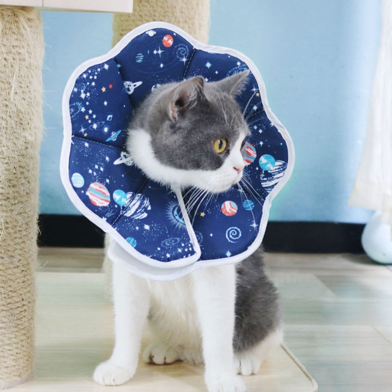 Delgeo Cat Pet Elizabeth Circle Collar - 우주 행성용 방수 및 핥기 방지 헤드기어. 부상과 수술로부터 편안한 치유와 회복을 제공합니다. 부드럽고 가볍고 접을 수있는 목
