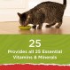 비타민, 미네랄 및 영양소가 추가된 Purina Cat Chow Naturals 건식 고양이 사료, Naturals Original - 13파운드 가방