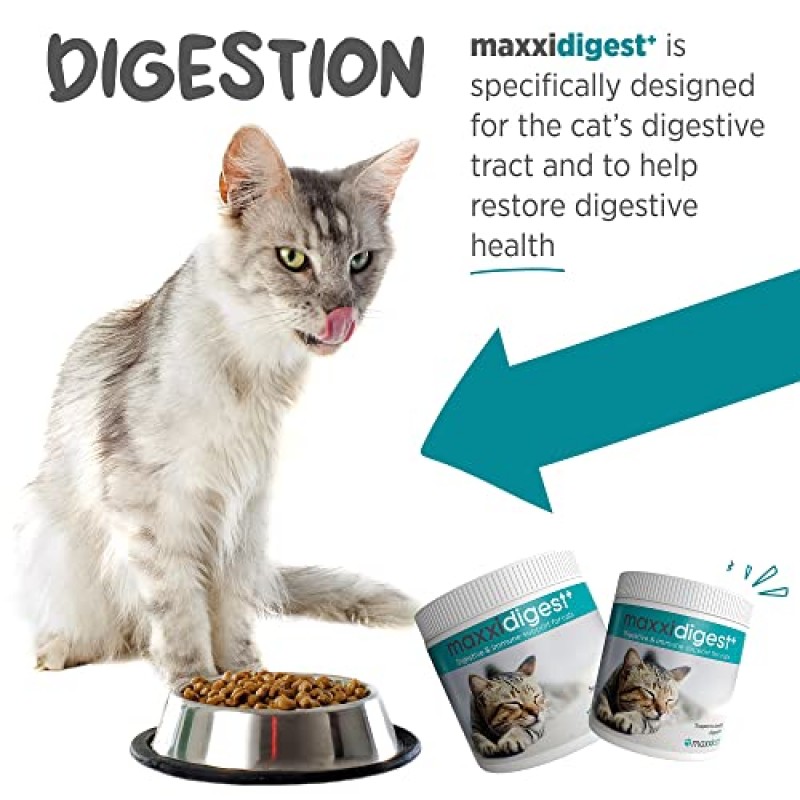 maxxipaws maxxidigest+ 프로바이오틱스, 프리바이오틱스 및 소화 효소가 함유된 고양이를 위한 소화 및 면역 지원 보충제 – 7온스