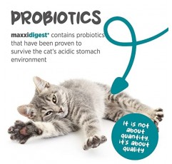 maxxipaws maxxidigest+ 프로바이오틱스, 프리바이오틱스 및 소화 효소가 함유된 고양이를 위한 소화 및 면역 지원 보충제 – 7온스