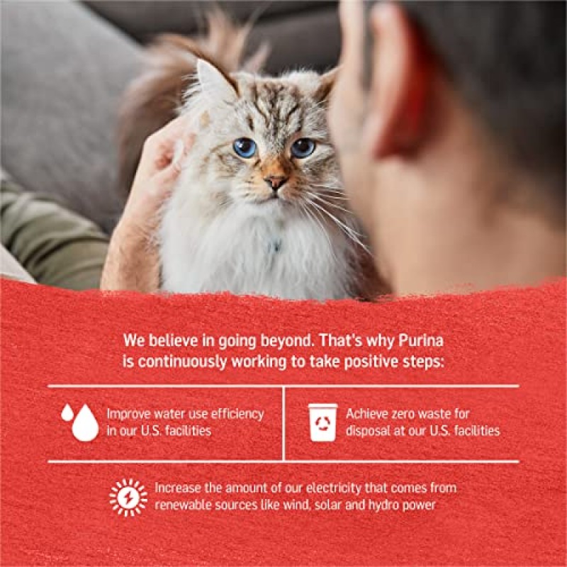 Purina Beyond 케이지 프리 닭고기, 쇠고기, 당근 레시피 - 젖은 고양이 먹이 그레이비 - (12) 3 Oz. 캔