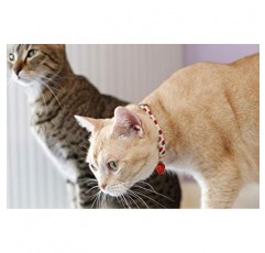 PetSoKoo 종소리와 딸기 참이 달린 귀여운 고양이 목걸이. 100% 면. 안전 분리형 소프트. 소녀 소년 남성 여성 새끼 고양이 목걸이용