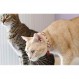 PetSoKoo 종소리와 딸기 참이 달린 귀여운 고양이 목걸이. 100% 면. 안전 분리형 소프트. 소녀 소년 남성 여성 새끼 고양이 목걸이용