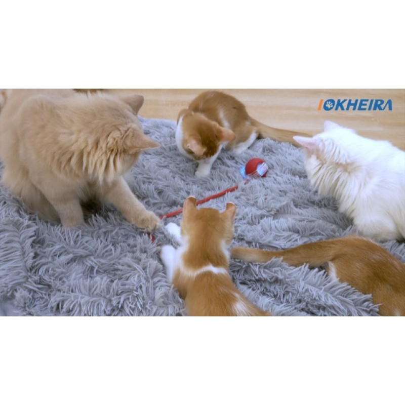 IOKHEIRA 대화형 고양이 장난감 공, 모션 활성화 전기 고양이 장난감, 자동 애완 동물 운동 장난감, 새 호출 시뮬레이션, USB 충전식(긴 꼬리)