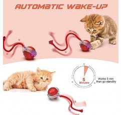 IOKHEIRA 대화형 고양이 장난감 공, 모션 활성화 전기 고양이 장난감, 자동 애완 동물 운동 장난감, 새 호출 시뮬레이션, USB 충전식(긴 꼬리)