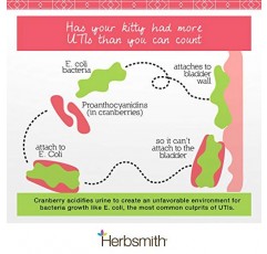 Herbsmith 방광 관리 - 고양이를 위한 방광 지원 - 요로 고양이 보조제 - 고양이의 신장 건강 유지 - 75g