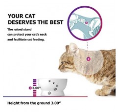 Y YHY 고양이 그릇, 15 온스 고양이 물 그릇, 세라믹 고양이 먹이 그릇, 높은 고양이 개 접시 유출 없음, 고양이 또는 작은 개용 애완 동물 그릇, 구토 방지, 측정 가능, 흰색