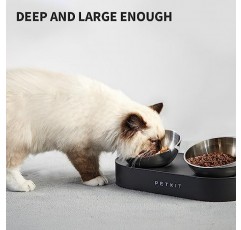 PETKIT CYBERTAIL - 스테인레스 스틸 제기 그릇 - 기울어진 음식 및 먹이 그릇, 미끄럼 방지, 고양이와 소형견을 위한 유출 없음