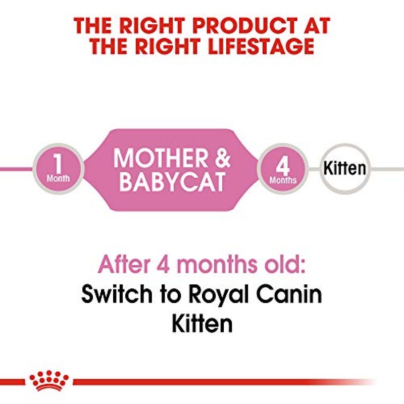 Royal Canin 고양이 건강 영양 산모 및 Babycat 갓 태어난 새끼 고양이와 임신 또는 수유중인 고양이를 위한 건식 고양이 사료, 3.5 lb 가방