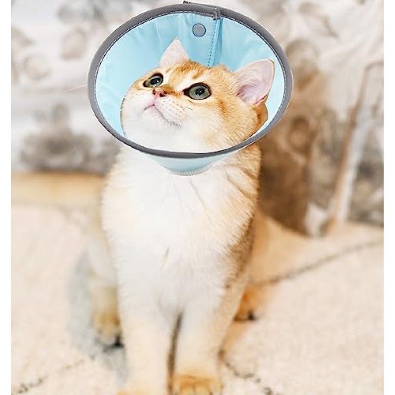 회복을위한 고양이 E 목걸이 핥는 것을 멈추는 고양이 용 고양이 콘 고양이 도넛 칼라 고양이 콘 칼라 고양이를위한 부드러운 엘리자베스 칼라 수술 후 조절 가능 (M, 파란색)