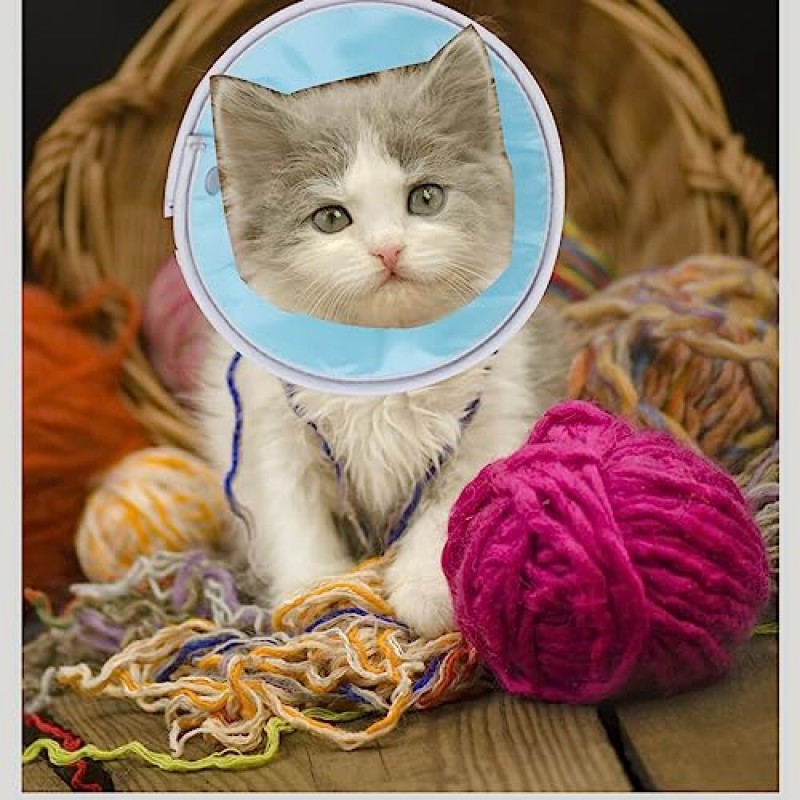 회복을위한 고양이 E 목걸이 핥는 것을 멈추는 고양이 용 고양이 콘 고양이 도넛 칼라 고양이 콘 칼라 고양이를위한 부드러운 엘리자베스 칼라 수술 후 조절 가능 (M, 파란색)