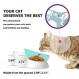 Y YHY 고양이 먹이 그릇, 음식과 물을 위해 높게 기울어져 있고, 눈금 표시가 있는 고양이 그릇 2개 세트, 얼굴이 편평한 고양이와 소형견용 - 12/16 OZ 세라믹