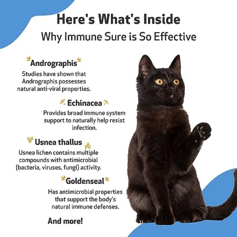 Pet Wellbeing Immune Sure for Cats - 수의사 제조 - 면역 체계 지원 및 보호 - 천연 허브 보조제 2온스(59ml)