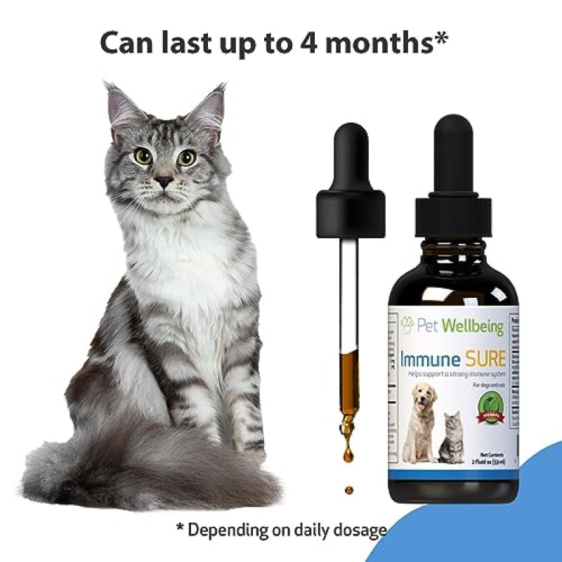 Pet Wellbeing Immune Sure for Cats - 수의사 제조 - 면역 체계 지원 및 보호 - 천연 허브 보조제 2온스(59ml)