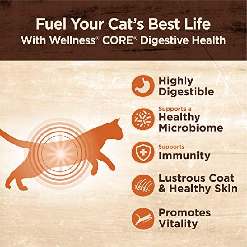 Wellness CORE 소화 건강 곡물 무함유 천연 습식 고양이 사료, 민감한 위, 쉽게 소화 가능(치킨 페이트, 3온스 캔, 12팩)