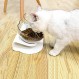 제기 스탠드가있는 고양이 높은 그릇, 15도 기울어 진 디자인 목 보호대 스탠드 고양이 또는 작은 개를위한 애완 동물 사료 급수기 그릇