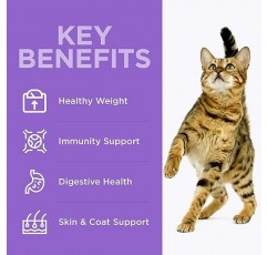 OPtimeal 체중 조절 고양이 사료 - 자랑스럽게 우크라이나어 - 건강한 소화를 위한 대사 지원이 포함된 고양이 사료 건조 레시피, 성인 고양이를 위한 맛있는 건조 고양이 사료(3.3파운드, 칠면조 & 오트밀)