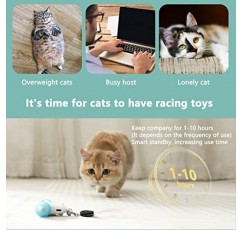 CZPET 고양이 장난감 새끼 고양이 점프 운동 대화형 교체 가능 탄성 자동 장난감 웃긴 고양이 티저 다양한 발달 퍼즐 장난감 깃털 마우스 (고양이 전자 장난감 + 감정 + 액세서리)