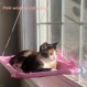 JinRui-T 고양이 창 퍼치 흡입 컵 고양이 창 해먹 공간 절약 창 좌석 고양이 내부 (핑크)