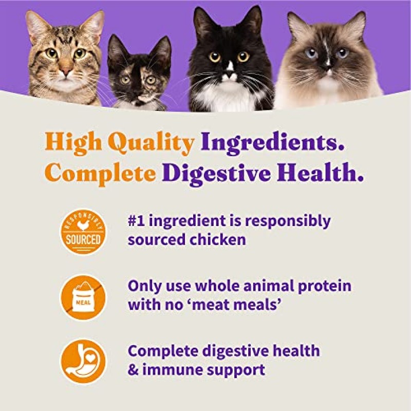 Halo Holistic 실내 고양이 사료 건강한 체중 지원을 위한 건식 곡물 프리 케이지 프리 치킨 레시피, 완전한 소화 건강, 건식 고양이 사료 가방, 성인용 포뮬러, 6파운드 가방