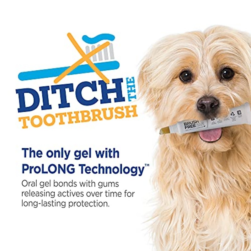 개를 위한 Vetality Brush Free 구강 젤 | ProLong 기술을 사용한 수의사의 치과 진료 | 치아와 잇몸을 깨끗하게 합니다