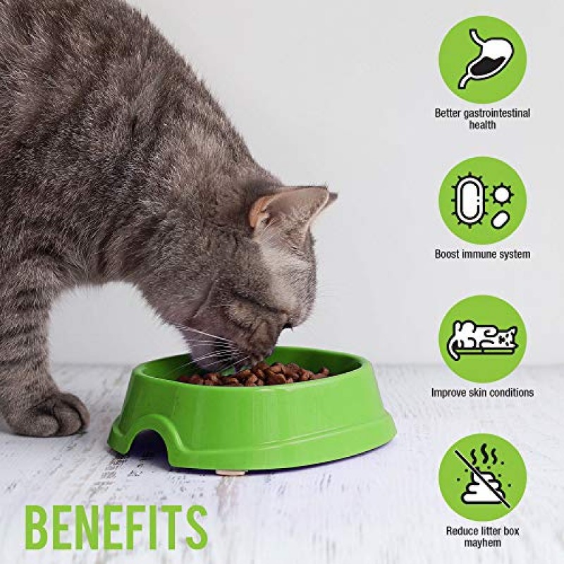 Skoon 프로바이오틱스 고양이 보조제, 60캡슐 - 장 건강, 면역력, 피부 상태 및 화장실 냄새를 개선합니다.