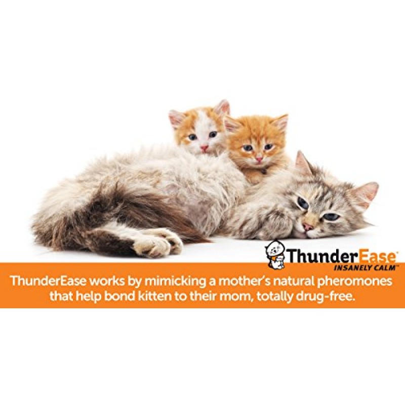 ThunderEase Multicat 진정 페로몬 디퓨저 리필 | FELIWAY 제공 | 고양이의 갈등, 긴장, 싸움 감소(30일분)