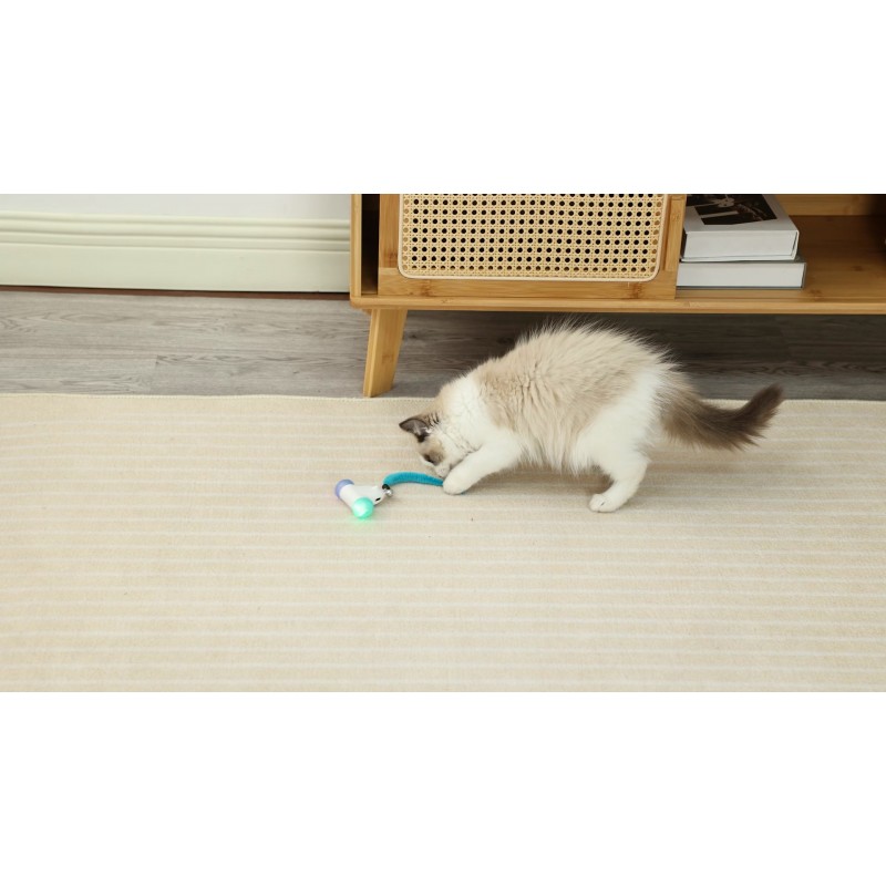 CZPET 고양이 장난감 스마트 마우스 체이스 장난감 전기 레이싱 야광 자동 장난감, LED 바퀴 USB 충전 세트실내 고양이를 위한 인터랙티브실내 고양이를 위한 인터랙티브