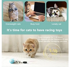 CZPET 고양이 장난감 스마트 마우스 체이스 장난감 전기 레이싱 야광 자동 장난감, LED 바퀴 USB 충전 세트실내 고양이를 위한 인터랙티브실내 고양이를 위한 인터랙티브
