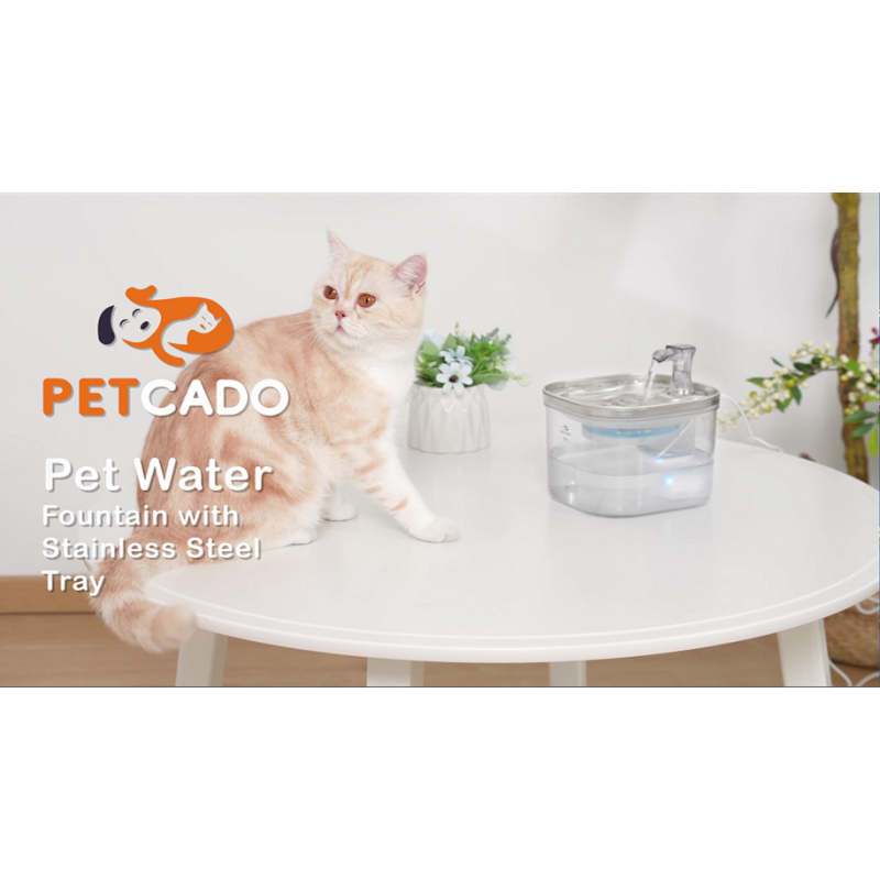 PETCADO 고양이 분수(스테인레스 스틸 뚜껑 포함), 67온스/2L 초저소음 고양이 분수, LED 조명, 활성탄 필터, 고양이와 소형견을 위한 BPA 프리 자동 애완동물 물 디스펜서