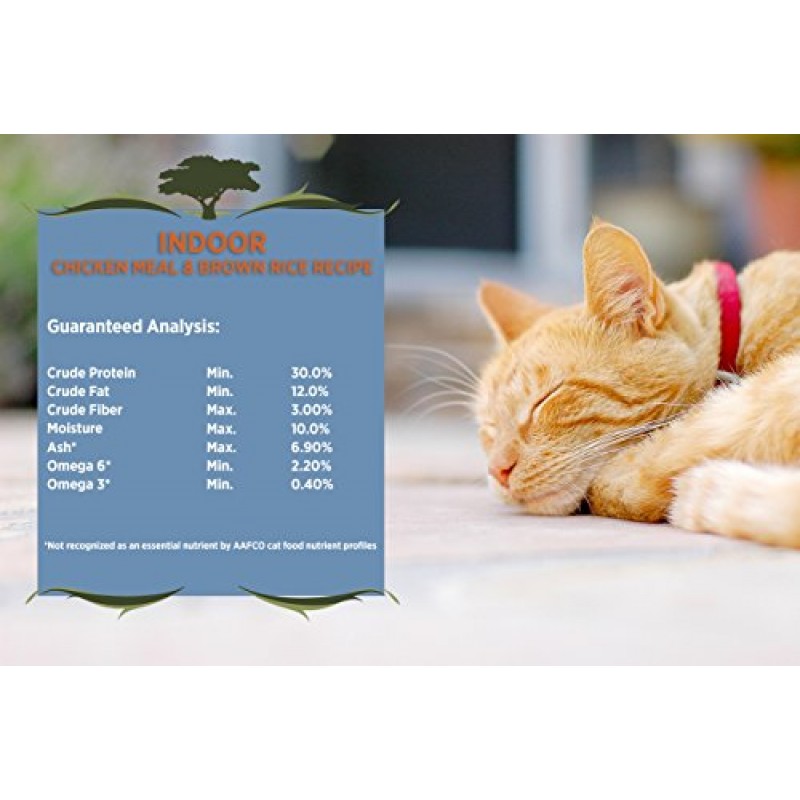 Blackwood Pet Cat Food Made In USA [성인, 실내, 노령묘를 위한 슈퍼 프리미엄 건식 고양이 사료], 치킨밀과 현미 레시피