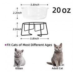 금속 스탠드가 있는 유리제 고양이 또는 소형 개 접시, 20온스 애완동물 사료 또는 물그릇, 투명