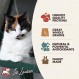 Fromm 성인 골드 드라이 고양이 사료 - 성묘를 위한 프리미엄 고양이 사료 - 치킨 레시피 - 4 lb
