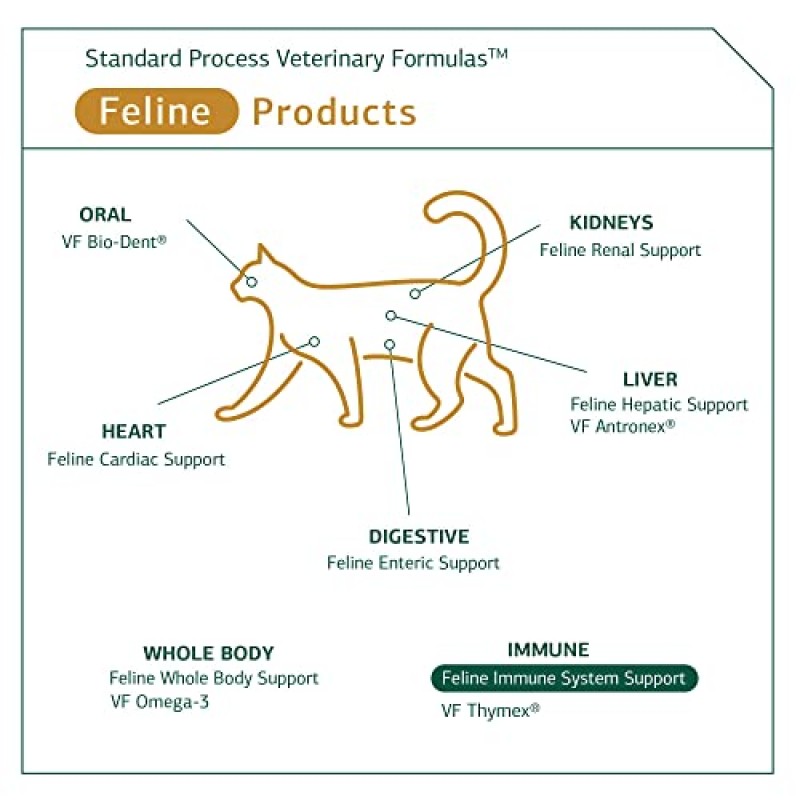 표준 공정 - 고양이를 위한 고양이 면역 체계 지원 - 90정