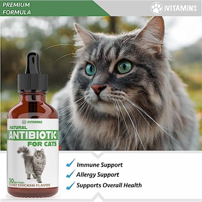 고양이를 위한 천연 항생제 | 고양이 보조제 | 고양이 항생제 | 고양이 항생제 | 고양이 면역 지원 | 고양이용 항생제 | 고양이 종합비타민 | 고양이를 위한 종합비타민 | 2팩: 총 60회분