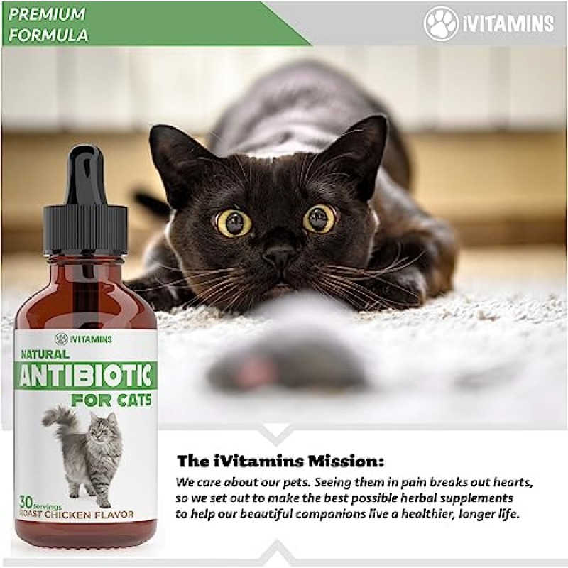 고양이를 위한 천연 항생제 | 고양이 보조제 | 고양이 항생제 | 고양이 항생제 | 고양이 면역 지원 | 고양이용 항생제 | 고양이 종합비타민 | 고양이를 위한 종합비타민 | 2팩: 총 60회분