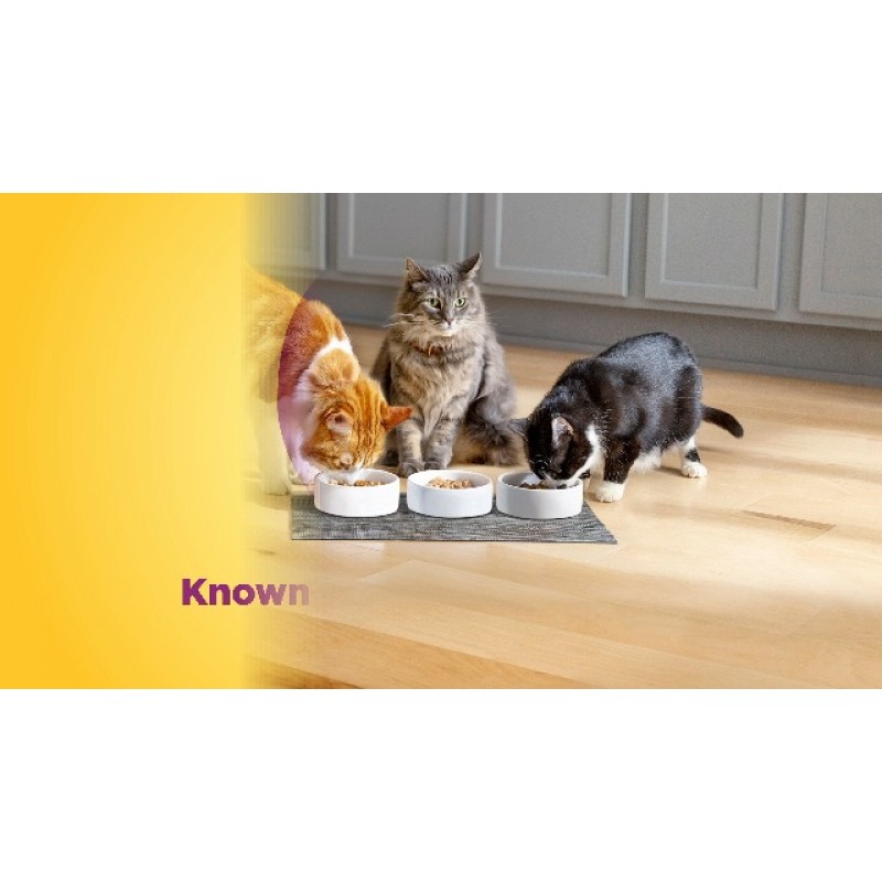 Meow Mix Tender Centers Basted Bites 건식 고양이 사료, 닭고기 및 참치 맛, 3파운드 가방(4팩)