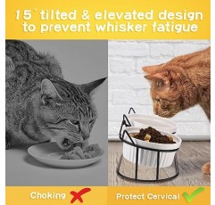 Mumufy 6개 고양이 그릇 수염 친화적인 세트 4개 포함 15° 기울어진 구토 방지 세라믹 고양이 접시 2개 스탠드 녹 방지 금속 10oz 높은 고양이 먹이 물그릇 실내 고양이 강아지용 미끄럼 방지