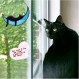 NOCLUB 검은 고양이 장식, 고양이 애호가를 위한 줄무늬 고양이 Suncatchers 장식, 달 장식에 잠자는 고양이를 위한 수제 스테인드 글라스 창 교수형, 파티오, 거실, 사무실용 고양이 장식품(검은색)
