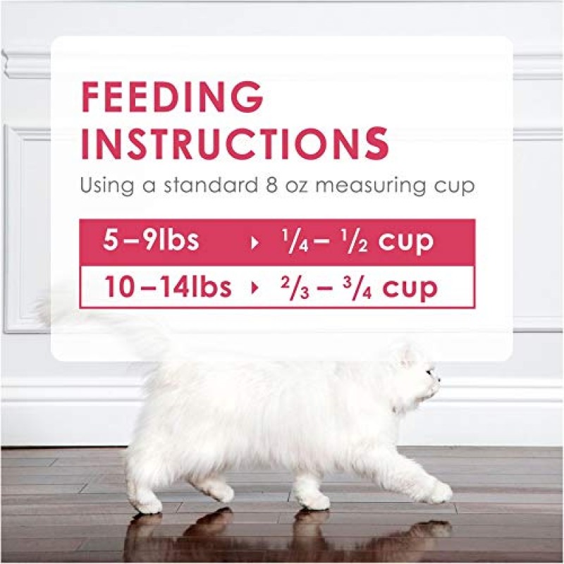 PURINA 팬시 피스트 필레미뇽 맛, 실제 해산물과 건조 새우 고양이 사료, 16 OZ