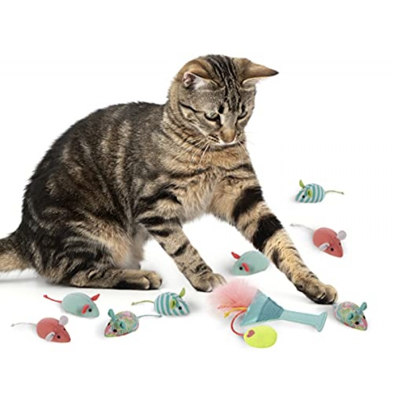 SmartyKat(16개 세트 번들 생일 파티 버라이어티 팩 캣닢 고양이 장난감 - 멀티 컬러, 16개 세트